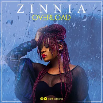 Overload by Zinnia