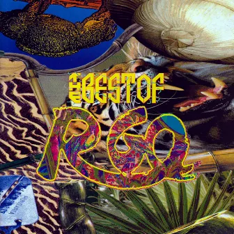 The Best of R-Go by R Go