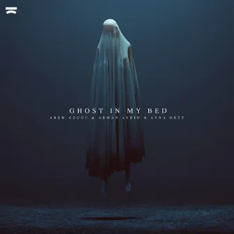 Ghost in My Bed by Anna Grey