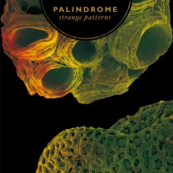 Strange Patterns by Palindrome