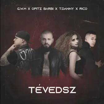 Tévedsz by Opitz Barbara