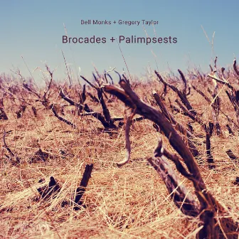 Brocades + Palimpsests by Bell Monks