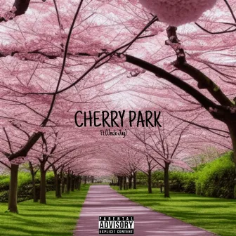 Cherry Park by Fashionboyeli