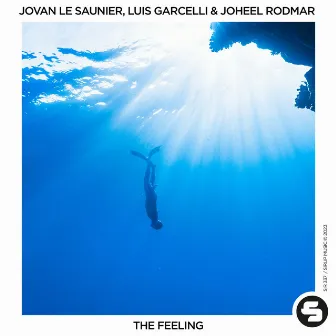 The Feeling by Jovan Le Saunier