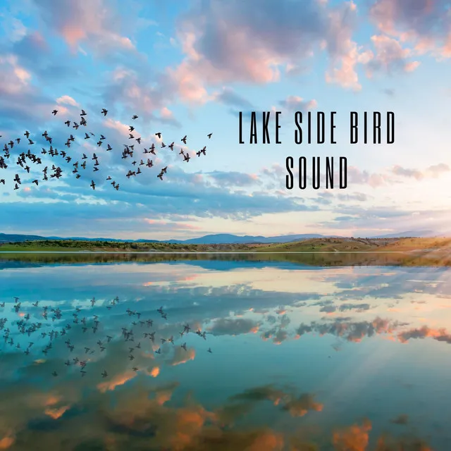 Lake Side Bird Sound