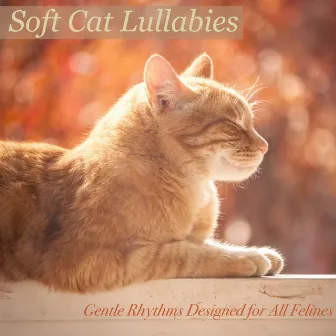 Soft Cat Lullabies: Gentle Rhythms Designed for All Felines by Pet Music Therapy