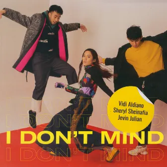 I Don't Mind by VIDI