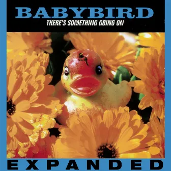 There's Something Going On (Expanded) by Babybird