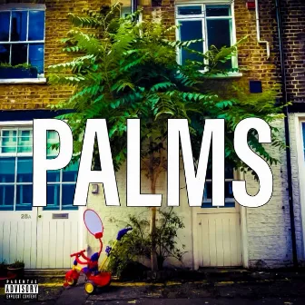 Palms by Unknown Artist