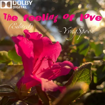 The Feeling Of Love (edited) by YvngSpoon