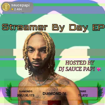 Streamer By Day by Sauga Sen