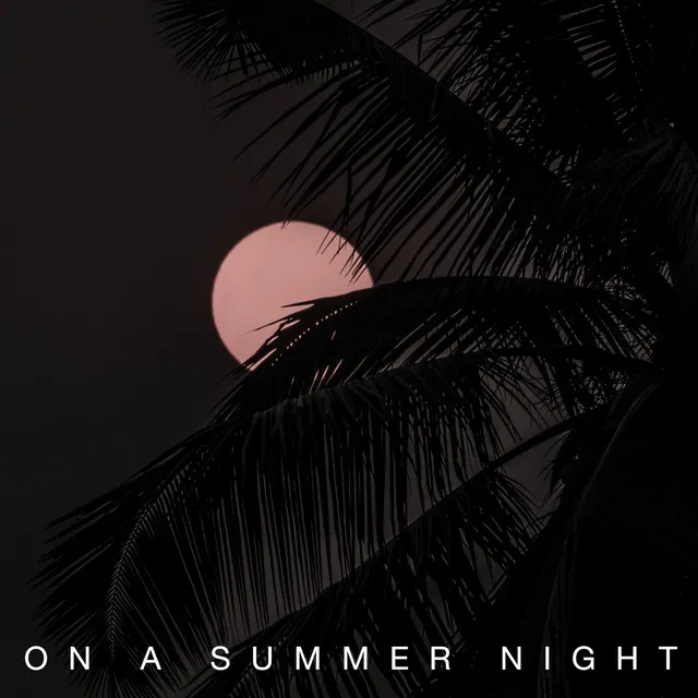 On a summer night (feat. WIZNIGHT)