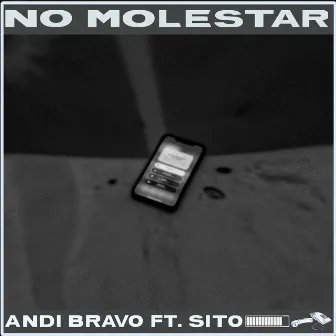 NO MOLESTAR by andi bravo