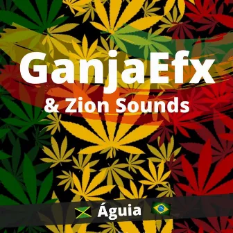 Águia by Coletivo Zion Sounds