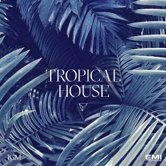 Tropical House by Richard Searle