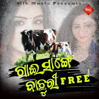 Gaei Sange Bachuri Free by Ramesh