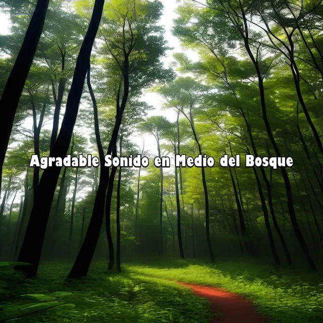 Agradable Sonido en Medio del Bosque