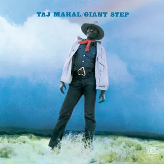 Giant Step by Taj Mahal