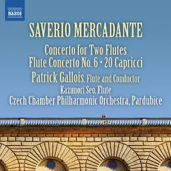 Mercadante: Flute Concertos, Vol. 2 by Czech Philharmonic Chamber Orchestra