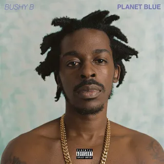 Planet Blue by Bushy B