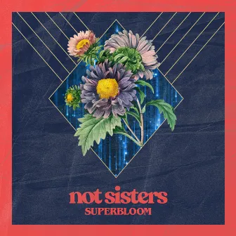 Superbloom by Not Sisters