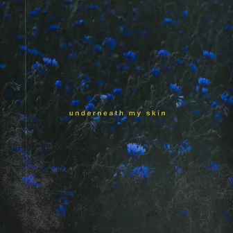 Underneath My Skin by Cygnet