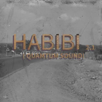 HABIB (QUANTUM) 2.1 by Sam De Musiq