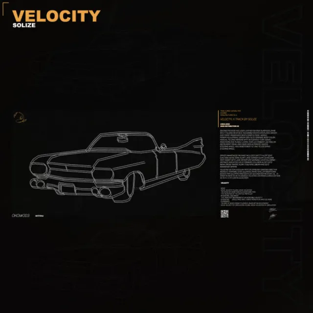 Velocity