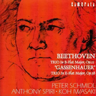 Beethoven: Piano Trios Op. 11 & Op. 38 by Peter Schmidl