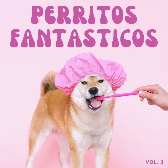 Perritos Fantasticos Vol. 3 by Radio de música para perros