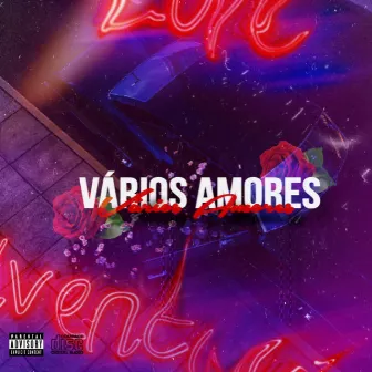 Vários Amores by Privvy