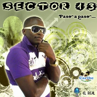 Paso a paso by Sector 13