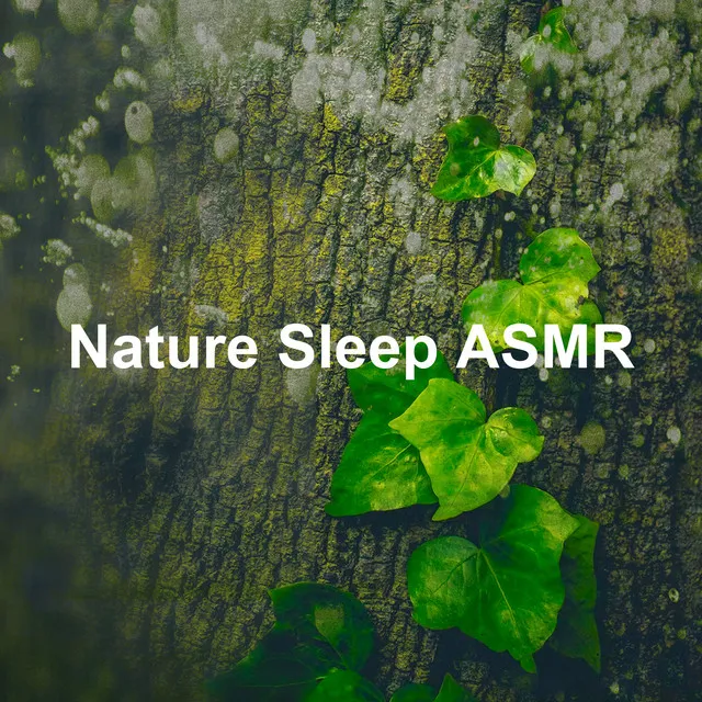 Nature Sleep ASMR