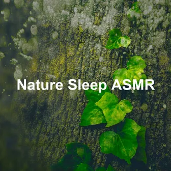 Nature Sleep ASMR by Nature Hive