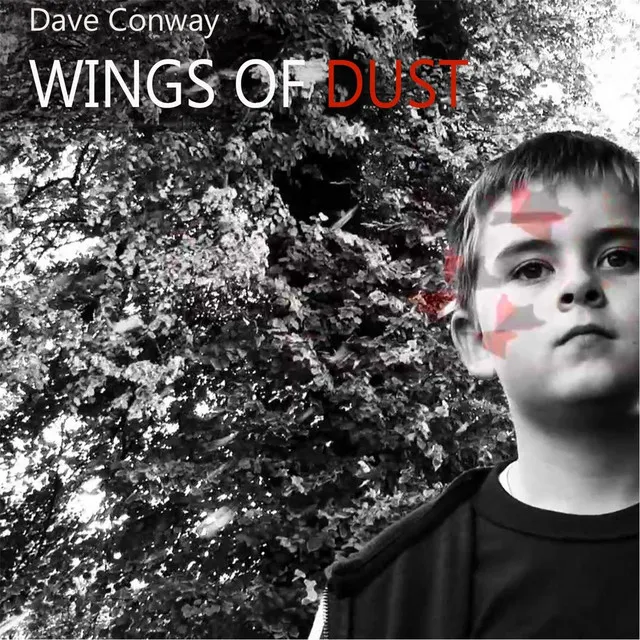 Wings of Dust