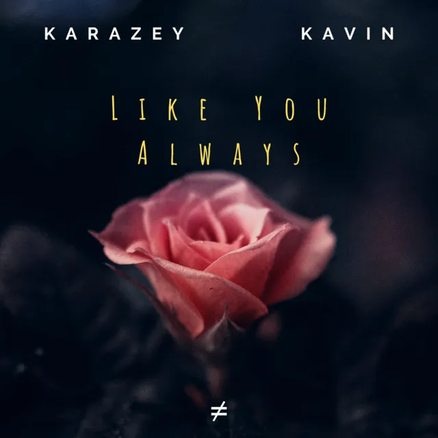 Like You Always - Radio Edit