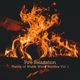 Fire Relaxation: Fierce of Warm Wood Bonfire Vol. 1 by Music for Leaving Dogs Home Alone