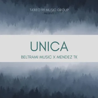 Unica by Beltrami Music