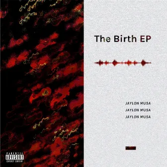 The Birth by Jaylon Musa