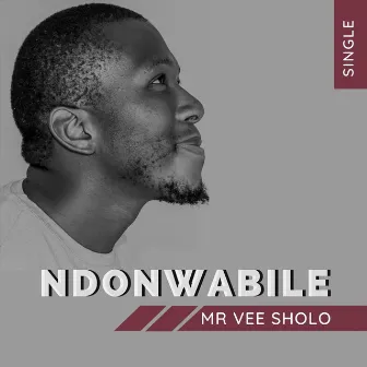 Ndonwabile by Mr Vee Sholo