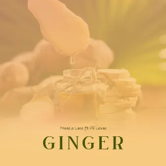 Ginger by Francis Lans