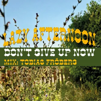 Don't Give Up Now (Tobias Fröberg Mix) by Lazy Afternoon