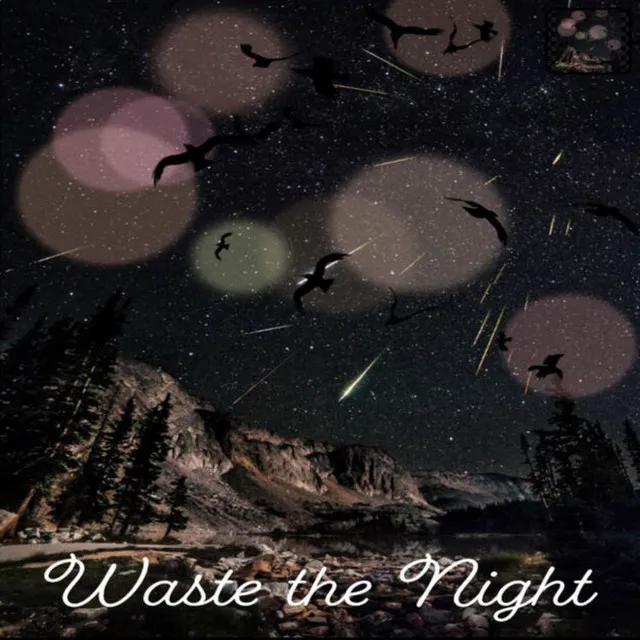 Waste the Night