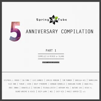 Spring Tube 5th Anniversary Compilation, Pt. 1 (Compiled and Mixed by DJ Slang) by Dj SlanG