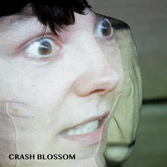 Crash Blossom (Original Theatre Soundtrack) by Rianne Wilbers