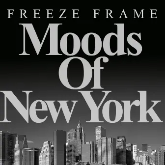 Moods of New York by Freeze Frame