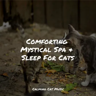 Comforting Mystical Spa & Sleep For Cats by Music for Cats Peace