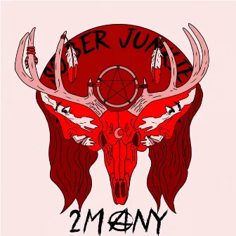 2 Many by Sober Junkie