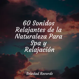 60 Sonidos Relajantes de la Naturaleza Para Spa y Relajación by Musica para Meditar Especialistas