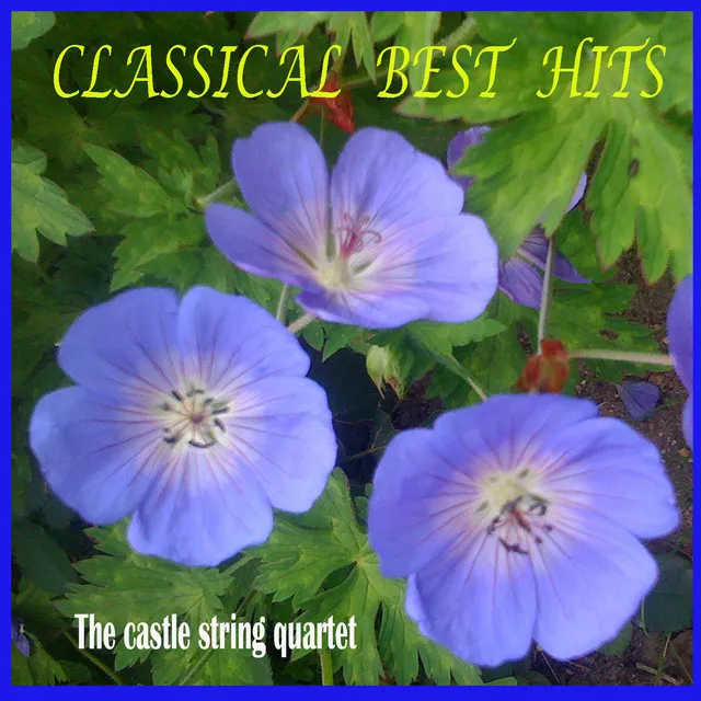 Air: Orchestral Suite No. 3 in D Major, BWV 1068: II. Air